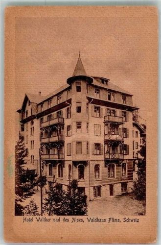 Flims 1933 Foto AK Hotel Walther und des Alpes Waldhaus