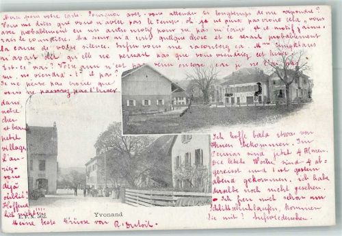 1462 Yvonand 1902 Foto AK