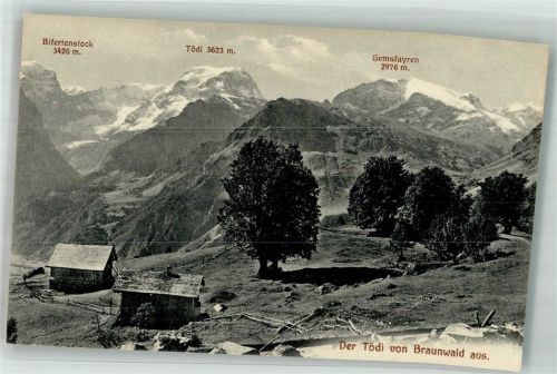8784 Braunwald Foto AK Tödi