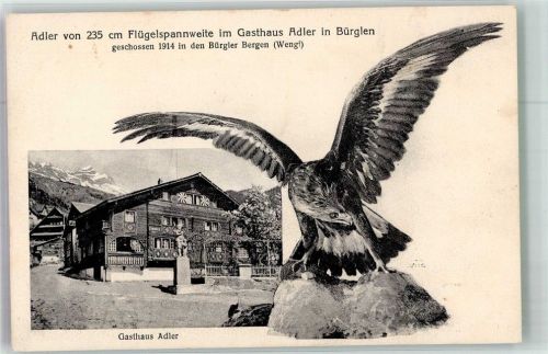 8575 Bürglen TG FOTO KEINE AK Gasthaus Adler Denkmal Adler