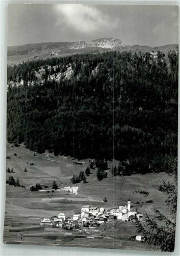 7459 Stierva Foto AK