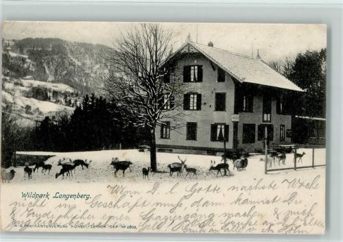 Langnau Wilpark Langenberg im Winter - Verlag Künzli Nr. 6900 AK Zoo 1902