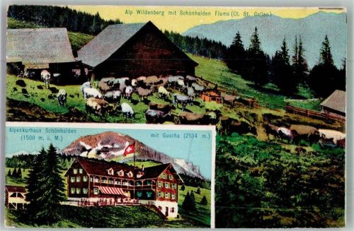 8890 Flums 1918 Foto AK Hotel Alpenkurhaus Schönhalden Alp Wildenberg