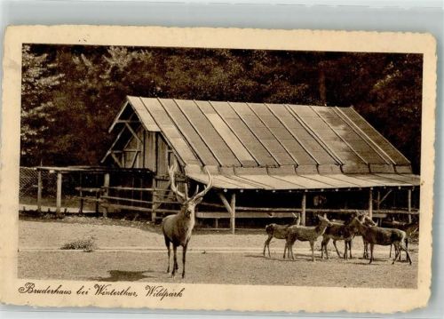 Winterthur Bruderhaus Wildpark Zoo 1914 Gebrauchsspuren