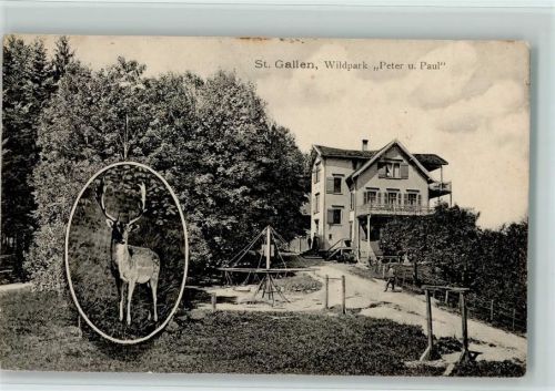 St. Gallen S. Gallo Wildparkt Peter und Paul AK Zoo 1908