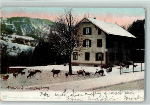 Langnau Verlag Künzli 6900 - Wildpark Langenberg Zoo 1902