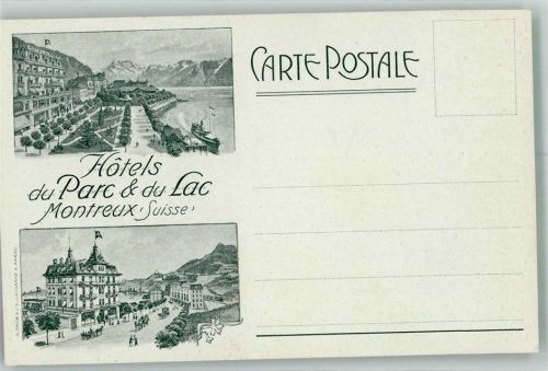 1820 Montreux Foto AK Hotel du Parc und du Lac