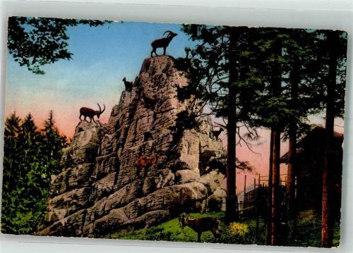 St. Gallen S. Gallo Steinbockfelsen im Wildtierpark Peter u. Paul P.Z. b 2913 Zoo