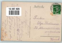 6416 Steinerberg 1917 Foto AK Gasthaus Löwen Villa Aufdermauer Mythen