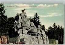 St. Gallen S. Gallo Neuer Steinbockfelsen im Wildpark Peter u. Paul Steinböcke Zoo 1909