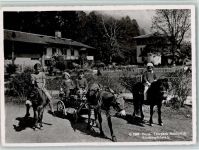 Bern Berne Tierpark Dählhölzli - Kinderspielplatz - Pony-Reiten, Eselkutsche Zoo 1952