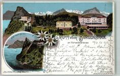 6363 Bürgenstock 1898 Lithographie Hotel Vierwaldstättersee
