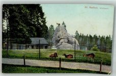 St. Gallen S. Gallo Wildpark Zoo 1908 Foto AK