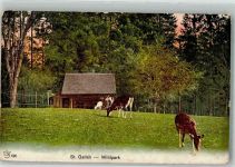 St. Gallen S. Gallo Wildpark Peter u. Paul Zoo