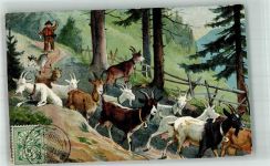 1907 Lithographie / Künstlerkarte sign. v. Tobler Ziegen Hirte