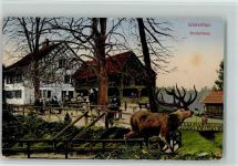 Winterthur Wildpark, Bruderhaus , hirsch AK Zoo 1919