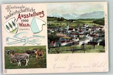 8636 Wald ZH Foto AK Landwirtschaftliche Ausstellung 1900