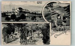 9500 Wil SG 1918 Foto AK Hirschpark Gasthaus