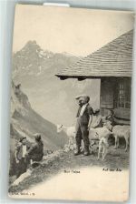 Ziege Auf der Alp Motiv Schweiz Foto AK