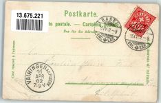Basel Bâle Gruss aus Bärenzwinger, Vogelhaus + Fuchs Zoo 1902 Lithographie