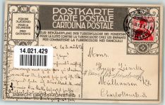 Zürich sign. Schlatter Bekämpfung der Tuberkulose bei Kindern Großmünster Tuberkulose 1913 Künstlersteindruck