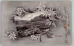 7310 Bad Ragaz 1909 Foto AK Blumen Edelweiß