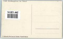 8800 Thalwil Winter Zürichsee zugefroren