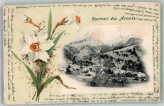1833 Les Avants 1899 Foto AK Blumen Narzisse