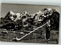 Bläser Kühe Alphorn