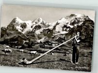 Bläser Kühe Alphorn