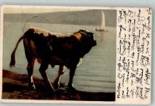 sign. Koller Rudolf Schwarzfleck Stier Pro Juventute Schweiz 1923 Künstlerkarte