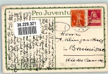 sign. Koller Rudolf Schwarzfleck Stier Pro Juventute Schweiz 1923 Künstlerkarte