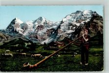 Bläser Alm Kühe Alphorn