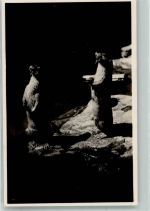 Basel Bâle Fischotter Zoo 1930 Foto AK