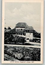 8580 Hagenwil b. Amriswil Foto AK Schloss