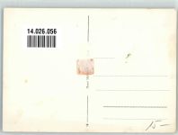 8345 Adetswil Foto AK Gasthaus Frohberg-Rosinli