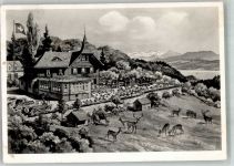 8700 Küsnacht ZH 1938 Foto AK Gasthaus Kurhaus Waldhaus Johannesburg