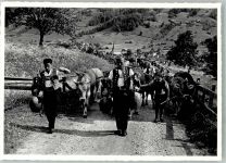 Ebnat-Kappel Tracht Alpauffahrt Tracht Schweiz Foto AK