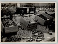 8570 Weinfelden Foto AK Ausstellung Gartenbau 1931