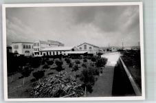 8620 Wetzikon ZH 1958 Foto AK