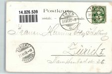 3600 Thun 1899 Lithographie / Künstlerkarte