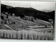 3618 Süderen 1968 Foto AK Pension Ferienheim Honegg