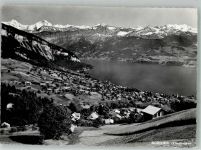 3655 Sigriswil 1964 Foto AK Thunersee