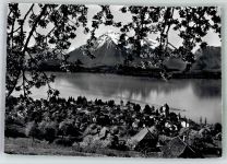 3653 Oberhofen am Thunersee 1962 Foto AK Thunersee