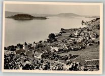 2513 Twann Foto AK Peterinsel