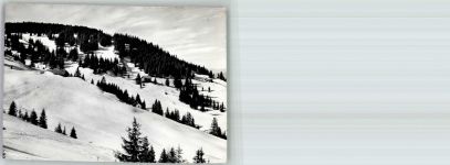 3156 Riffenmatt 1962 Winter Skigelände Selital