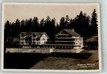 3625 Haltenegg 1933 Foto AK Hotel Waldheim
