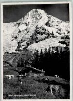 Mettlenalp 1948 Foto AK