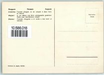 Haidenhaus - Wappen Weiss Grün Löwen Thurgau