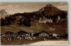 Gryon Sandstein Gestein Kühe Taveyannaz